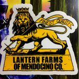 Sticker - Lantern Lion