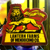 STICKERS - Lantern Farms of Mendocino Co. "Lantern Lion", Red, Gold, Green