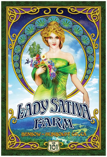 Strain Poster - Lady Sativa