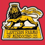 Tee Shirts - Lantern Farms Lion Tee Shirts - New Fonts - Three Colors