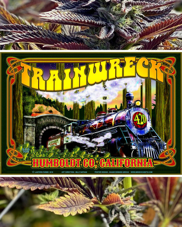 Strain Poster - Train Wreck